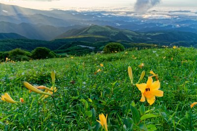 🏞️ 키스게 평원(키스게다이라엔치)